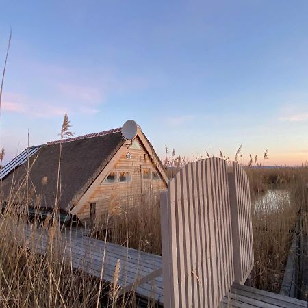 Seehuette Neusiedlersee - Pfahlbau Waterfront 1 Руст Экстерьер фото