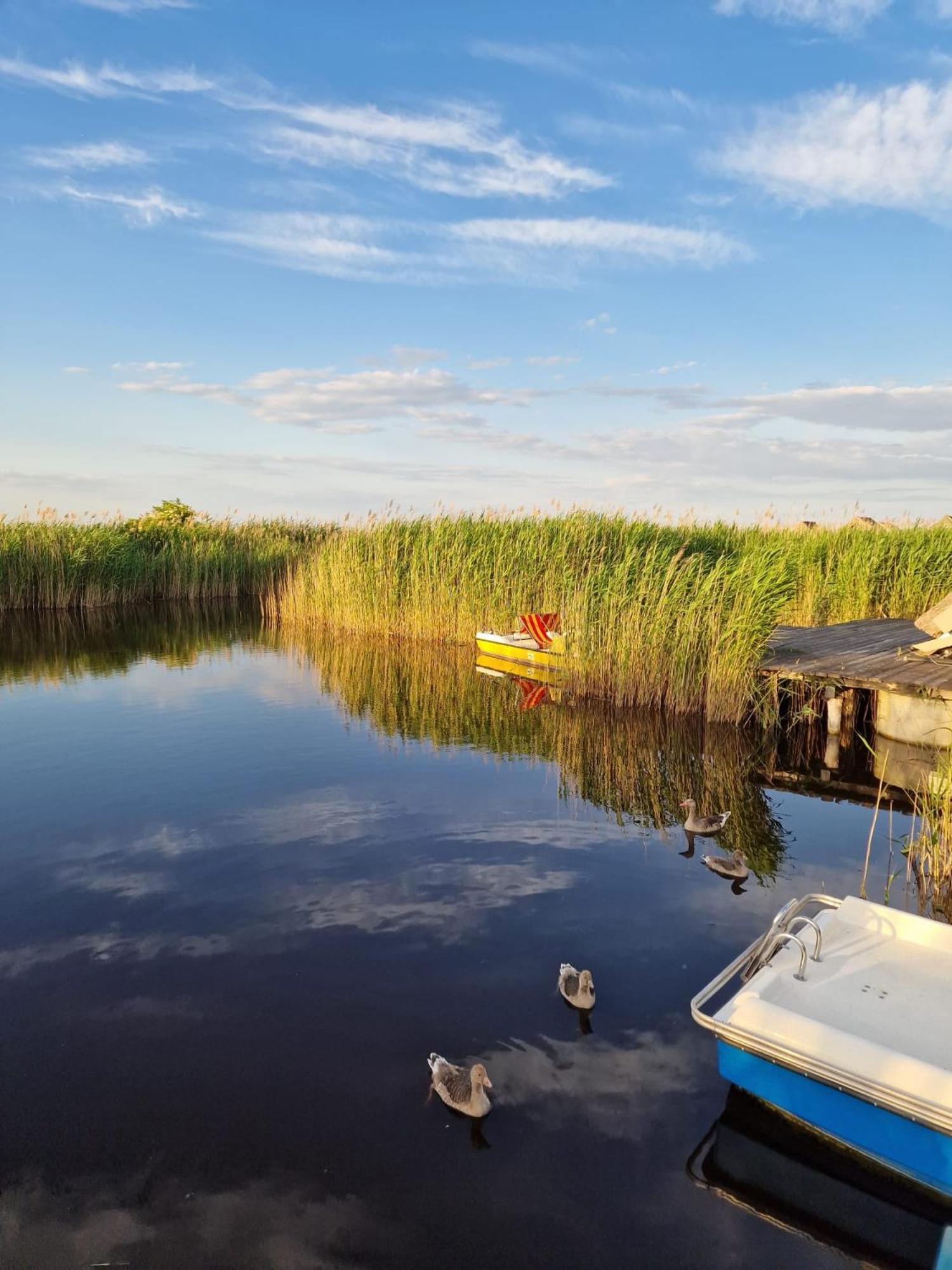 Seehuette Neusiedlersee - Pfahlbau Waterfront 1 Руст Экстерьер фото